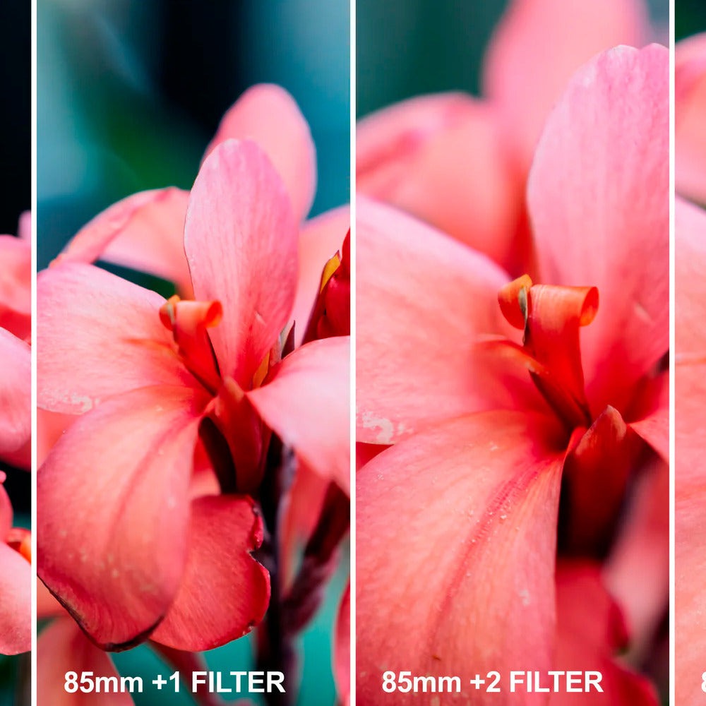 Hoya HMC 67mm Close-Up Plus 1, Plus 2 and Plus 4 Diopters Filter Set II for Close-Up Photography