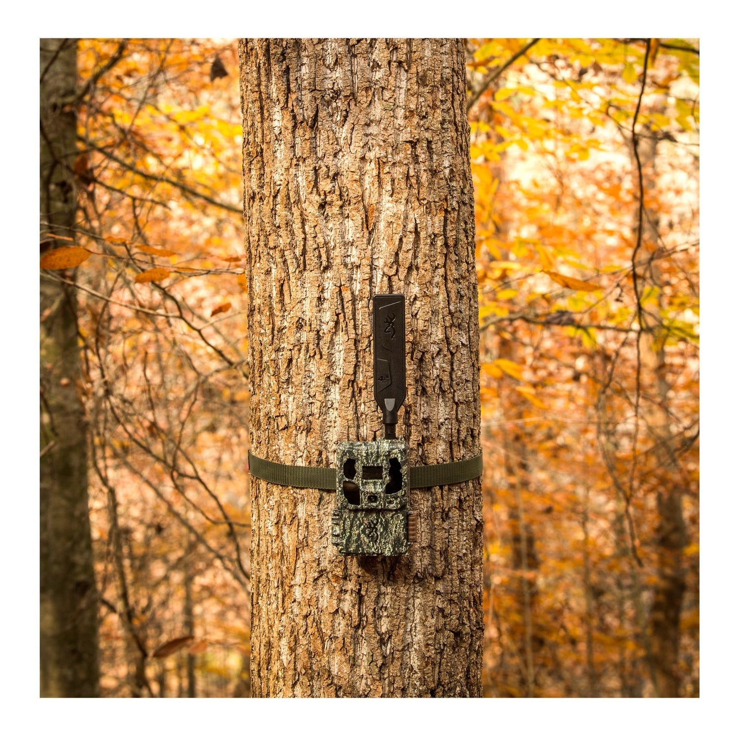 Browning Trail Camera - Defender Wireless Pro Scout Max HD AI (4-Pack) Bundle