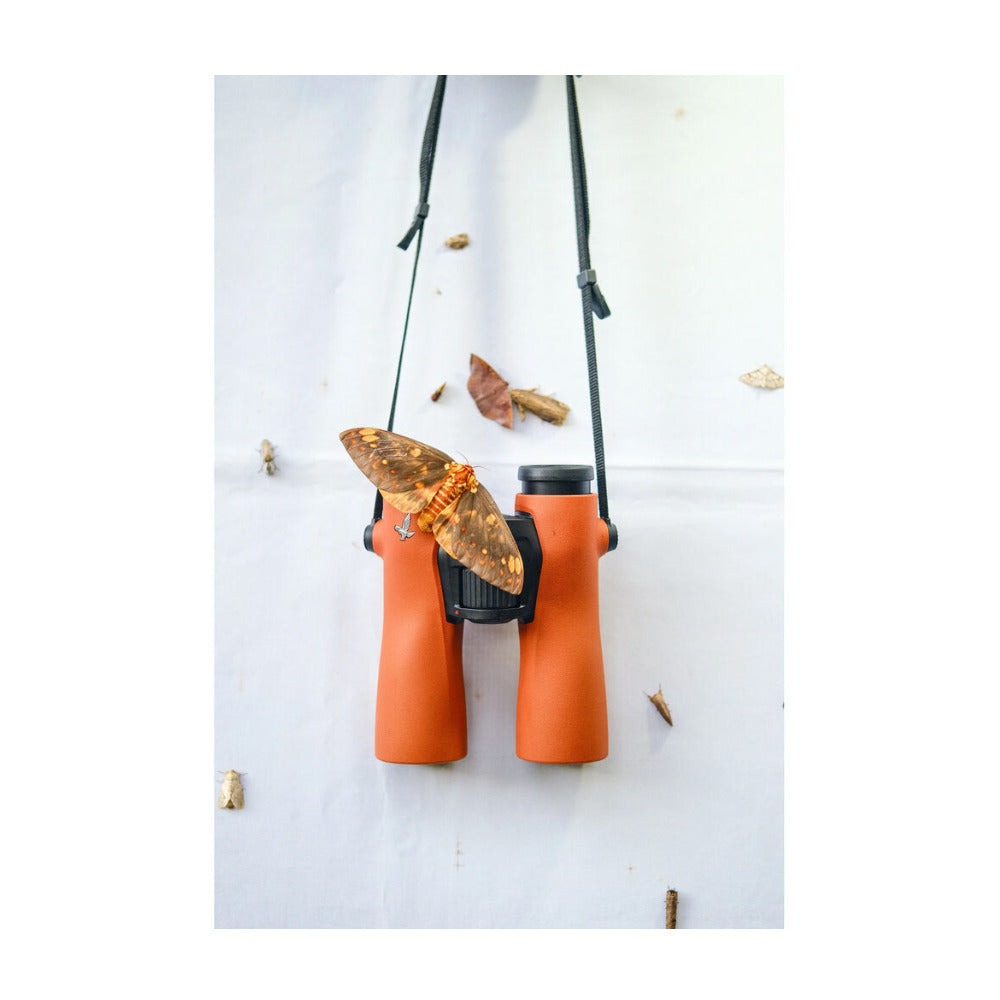Swarovski NL PURE 8x42 Binoculars with SWAROVISION Technology (Burnt Orange)