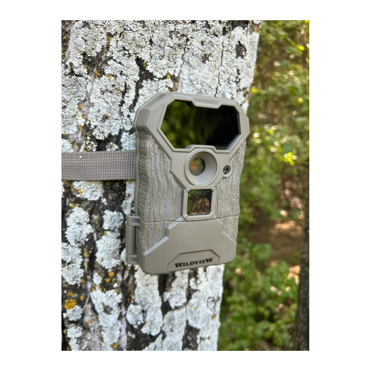 Stealth Cam Wildview 14MP Trail Camera with 32GB Memory Card Bundle (9-Pack)