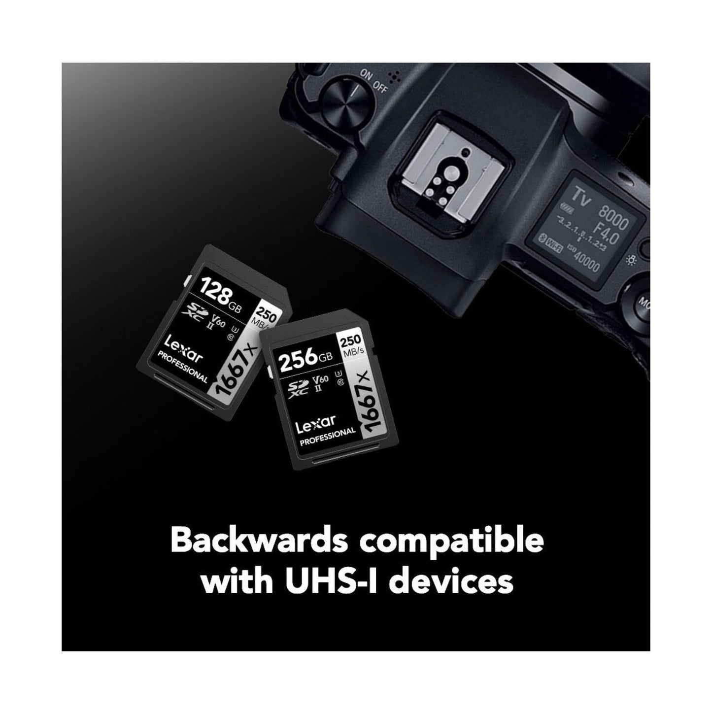 Lexar Professional SDXC 1667X UHS-II V60 4K 256GB Memory Card (2-Pack)