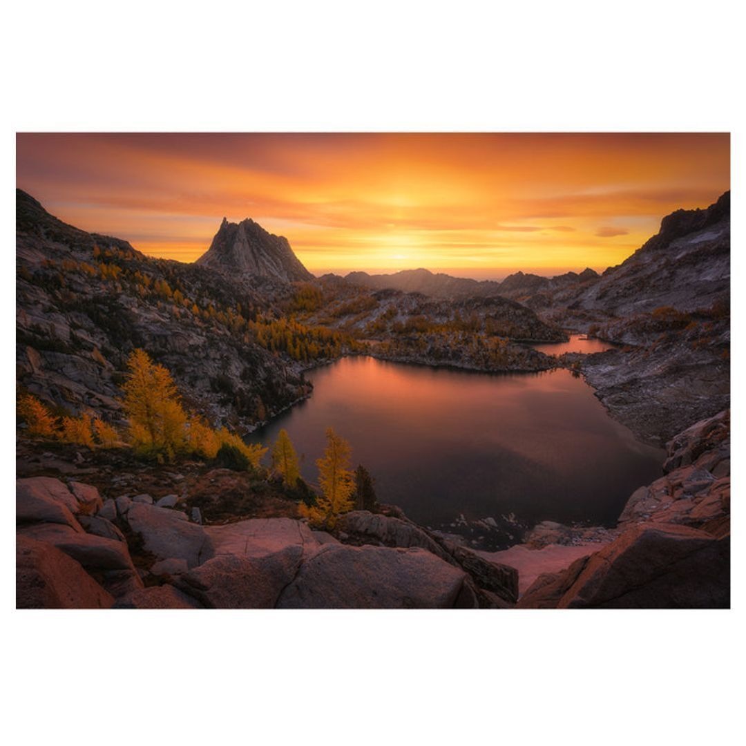 Hoya 88MM NXT Plus Circular Polarizer Filter with Low-Profile Aluminum Frame and 1.72 Filter Factor