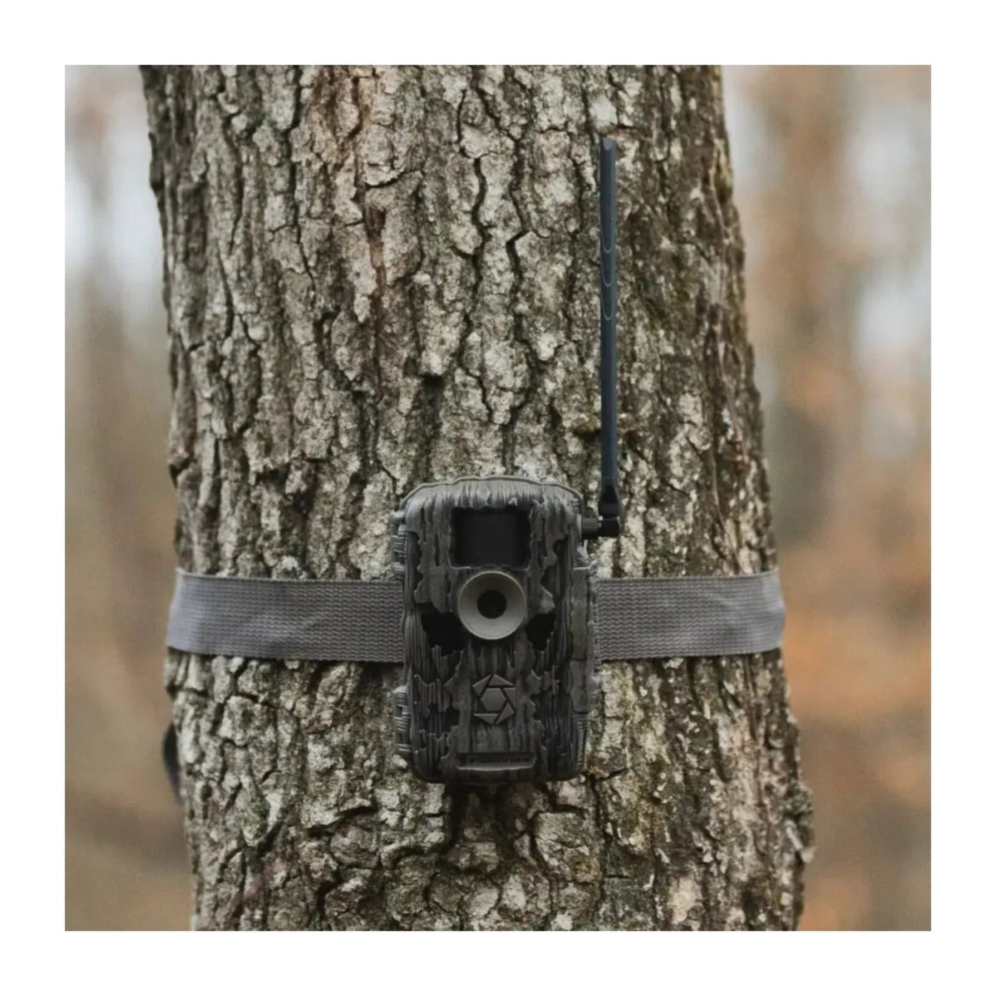 Stealth Cam Fusion Max Cellular Trail Camera with Real-Time HD Video and 80ft Infrared Detection