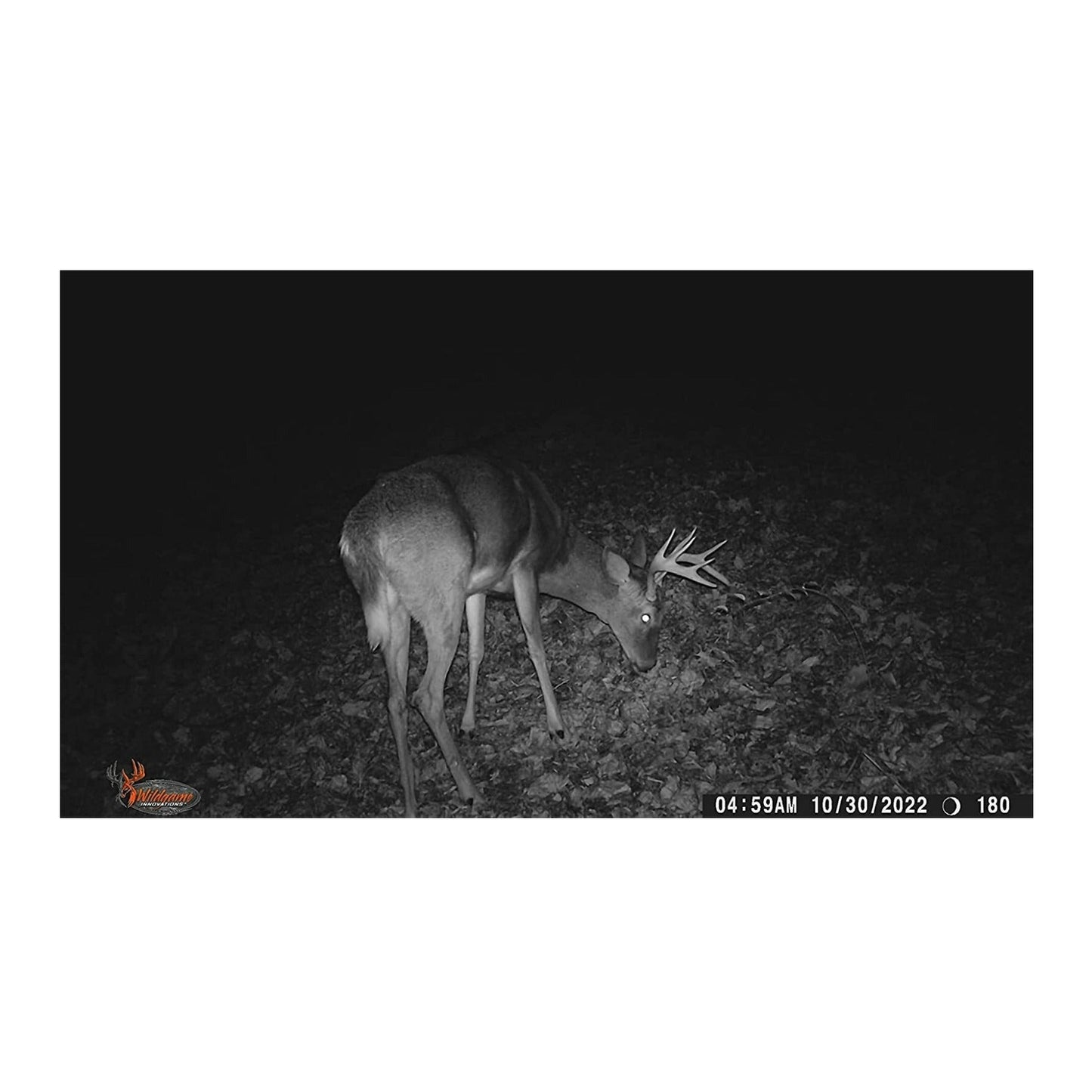 Wildgame Innovations Terra Extreme 14MP Camera with SD and Card Reader (2-Pack)