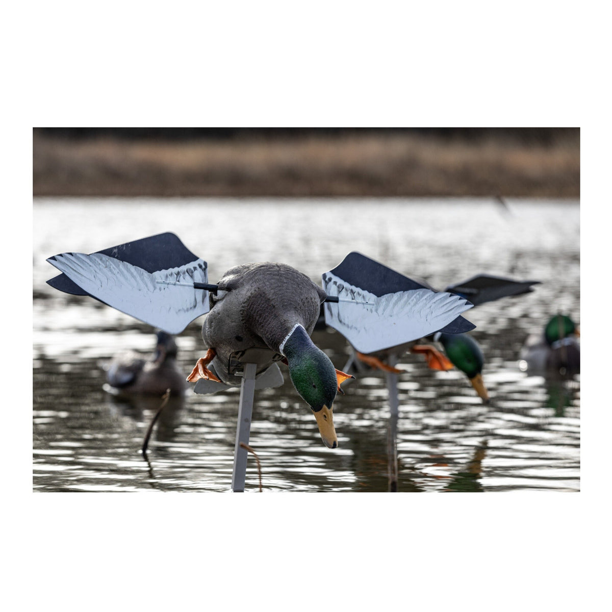 Avian-X PowerFlight Mallard Realistic Motion Decoy for Hardcore Duck Hunters