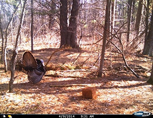 Cuddeback E3 Black Flash 20MP Trail Camera