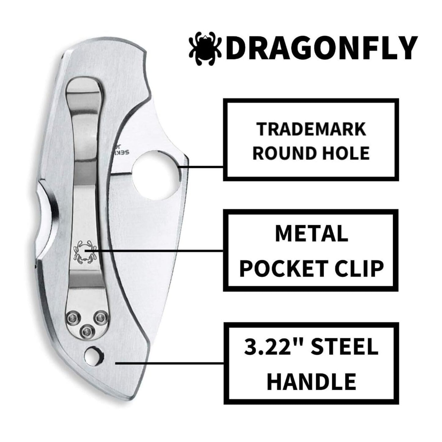 Spyderco Dragonfly Folding Knife - VG-10 PlainEdge Blade, Stainless Steel Handle, Back Lock