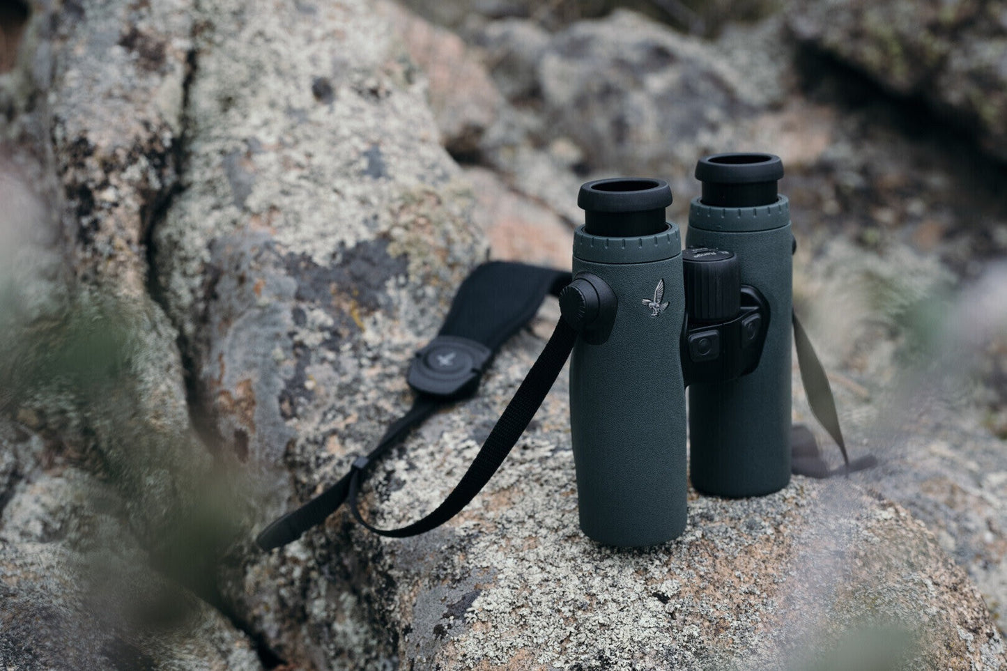 Swarovski EL Range 10x32 Binocular