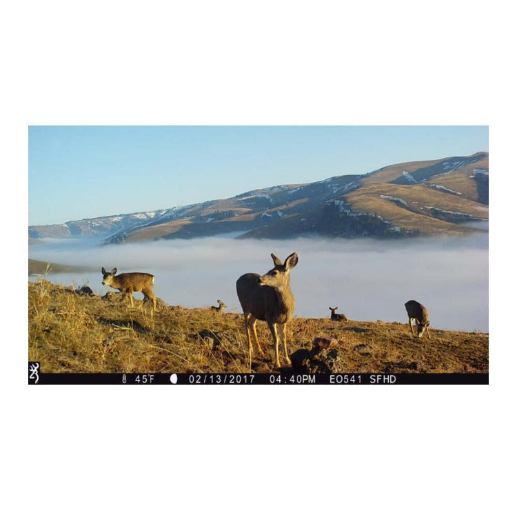 Browning Strike Force Pro X 1080 Trail Camera with 32GB, and SD Card (6-Pack)