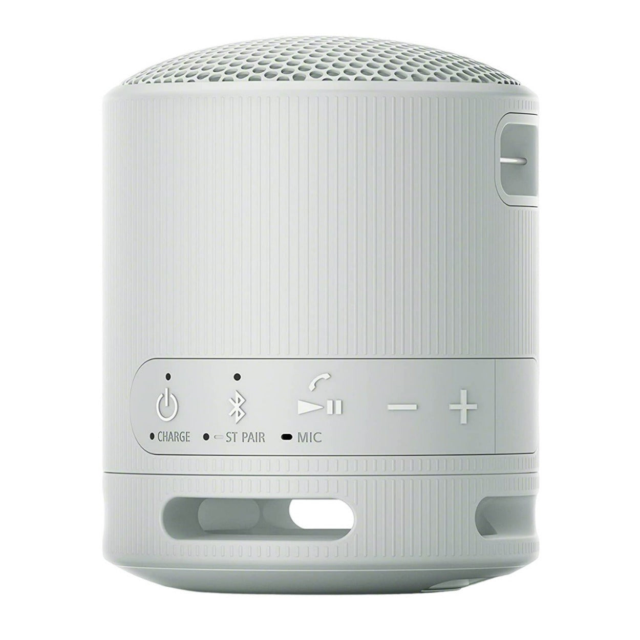Sony SRS-XB100 Wireless Bluetooth Portable Speaker (Gray) with Case Bundle