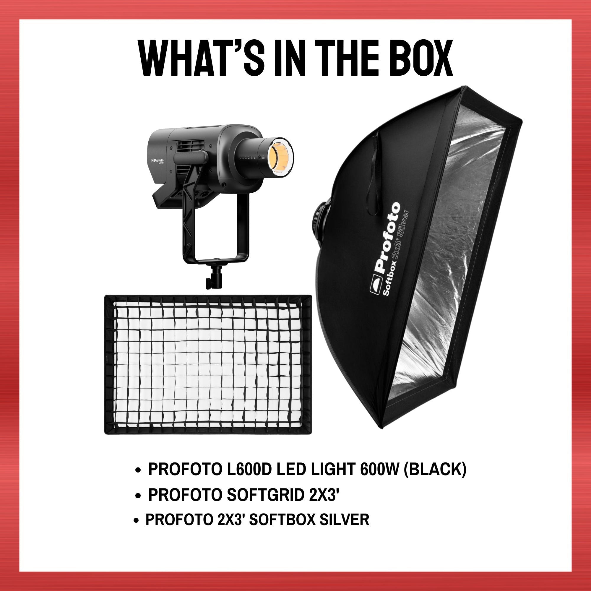 Profoto L600D LED Light 600W with 2x3-Feet Softbox (Silver) and Softgrid Bundle