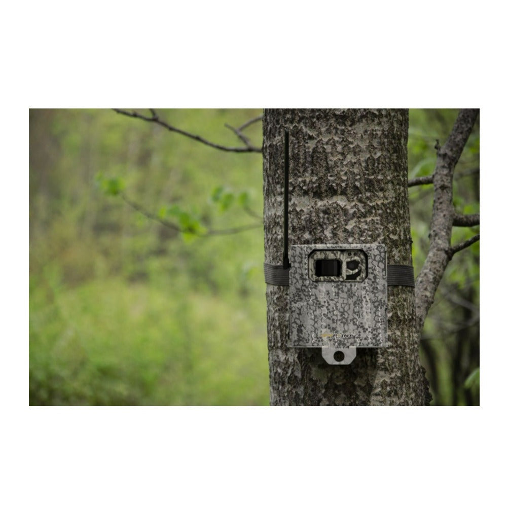 Spypoint SB-300S 4-LED Camera Steel Security Box with 16-Gauge Zinc-Plated Steel Construction (Camo)