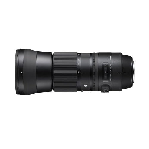 Sigma 150-600mm f/5-6.3 DG OS HSM Contemporary Lens for Nikon with Mini 1TB External Hard Drive and Accessory Bundle