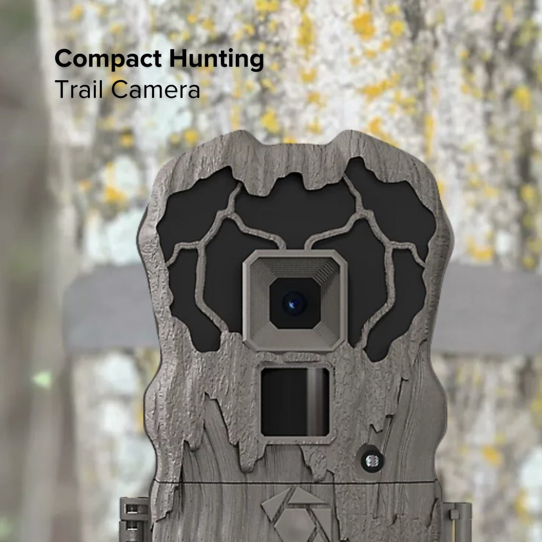 Stealth Cam Browtine 20MP Trail/Game Camera with 720P HD Video, Camo (10 Pack)