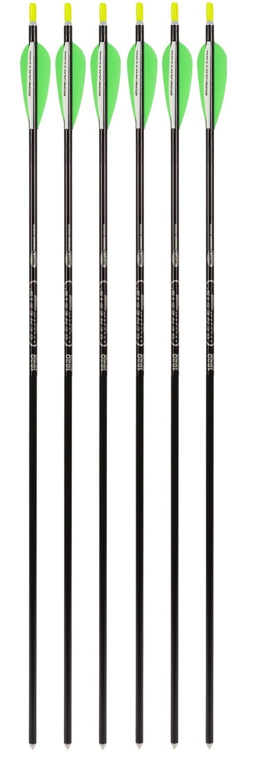 Genesis Archery Easton XX75 30 inch NASP Arrows for Genesis Bows (6-pack, Black)