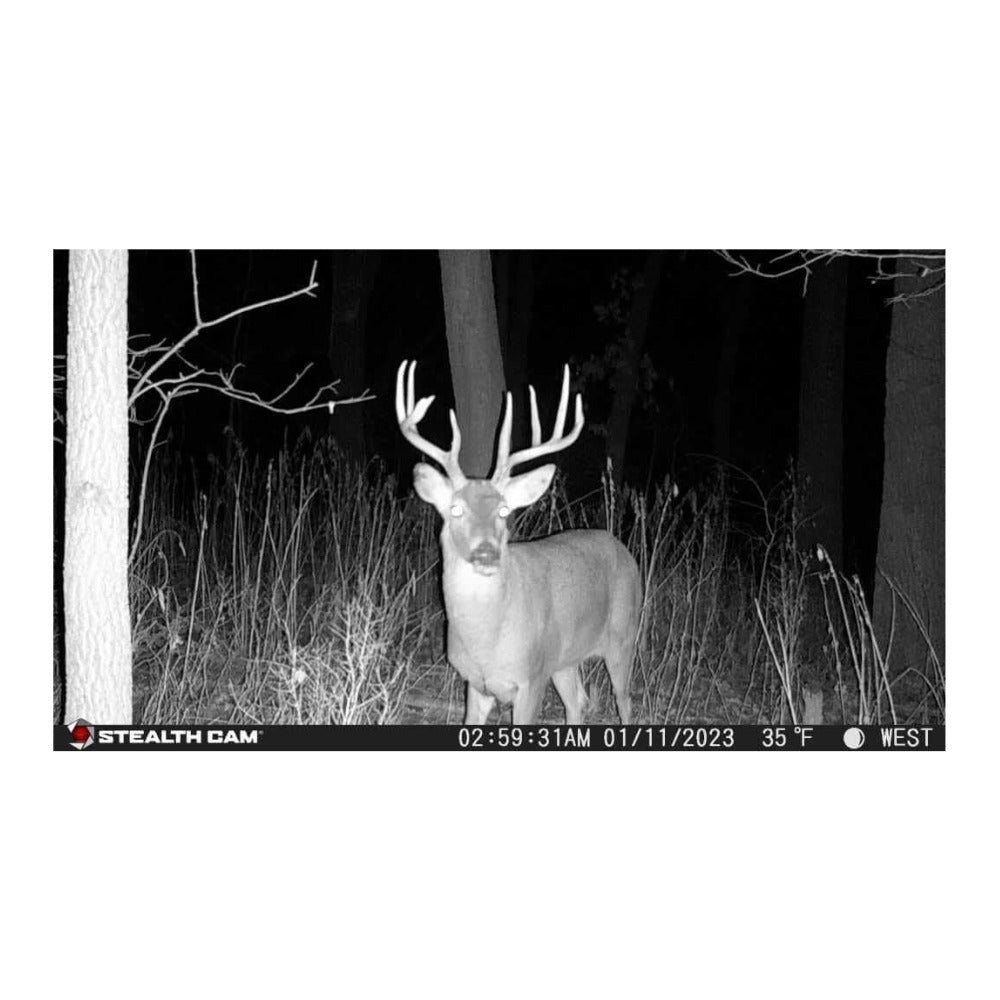 Stealth Cam Fusion X-Pro 36MP 720P Cellular Dual Sim Trail Camera
