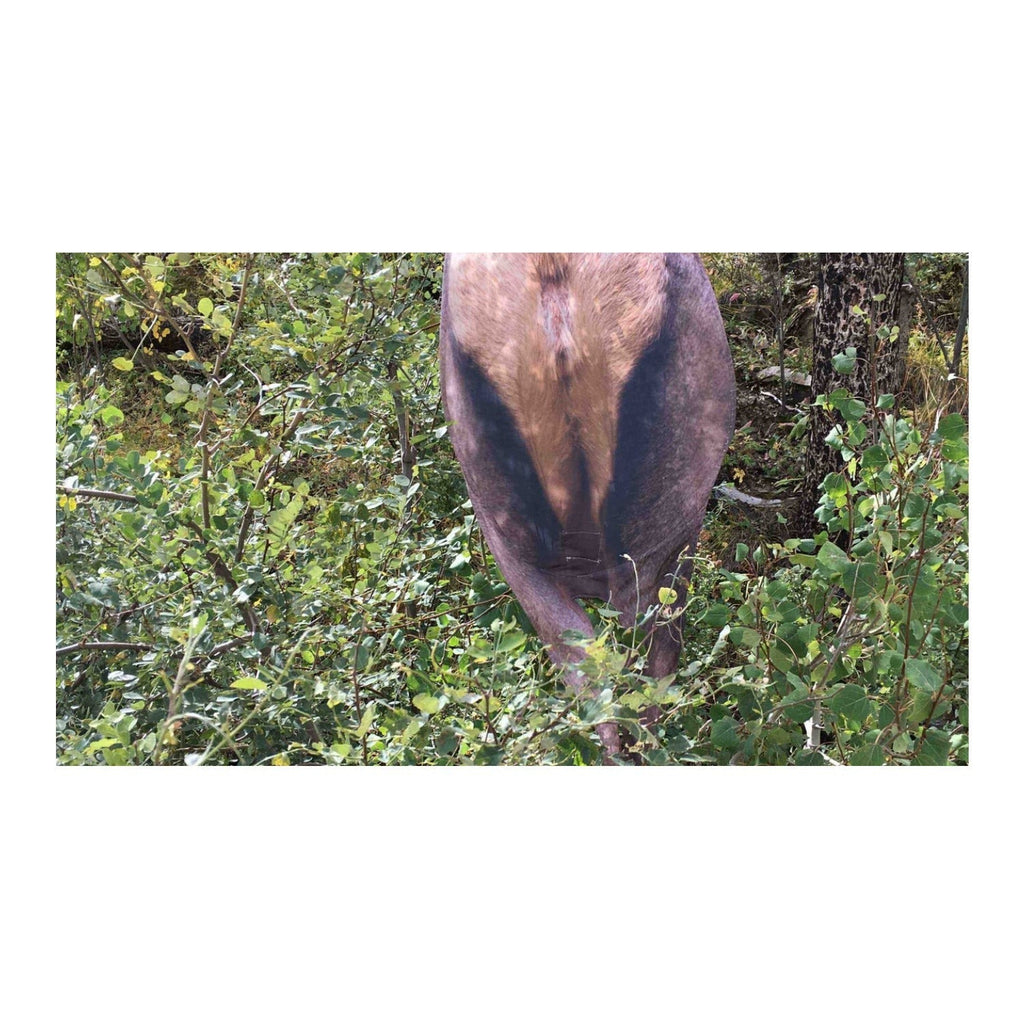 Montana Back Country Elk Decoy - Ultra-Lightweight and Foldable