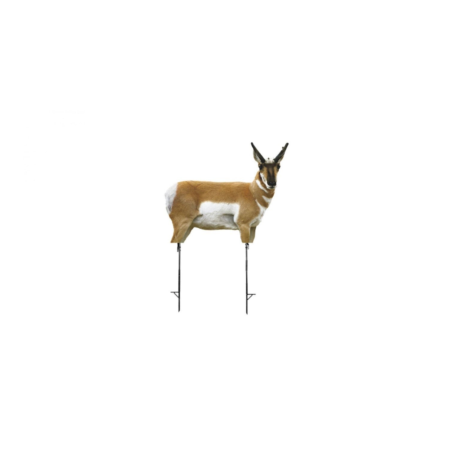 Montana Decoy Antelope Combo - Realistic Buck and Doe Set