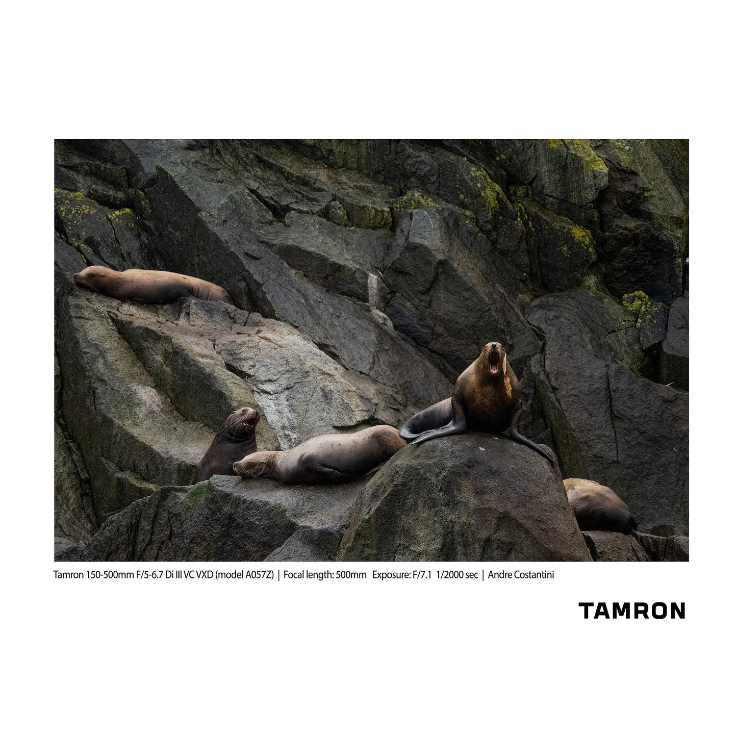 Tamron 150-500mm F/5-6.7 Di III VC VXD Lens for Nikon Z-Mount (Model A057Z)