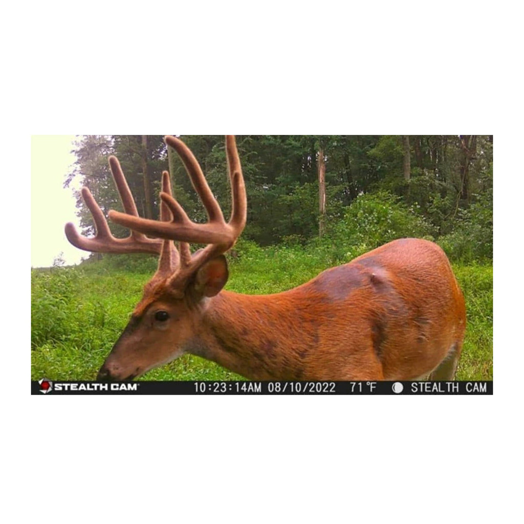 Stealth Cam G42NG No-Glo Trail Camera 4-Pack Ready-to-Go Accessory Bundle