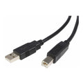 Startech 6-Feet USB 2.0 A to B Male/Male Cable (USB Printer Cable)