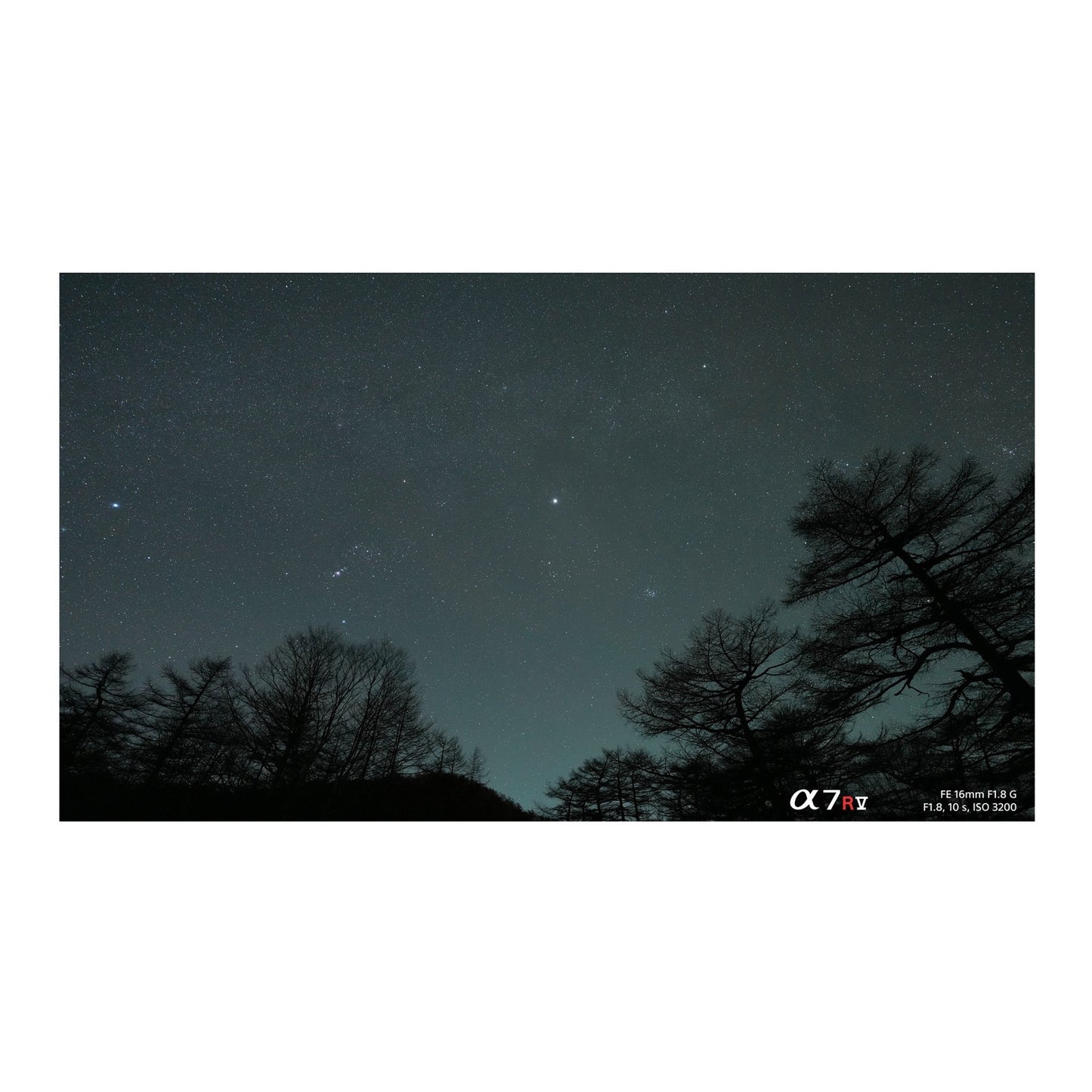 Sony FE 16mm f/1.8 G Lens