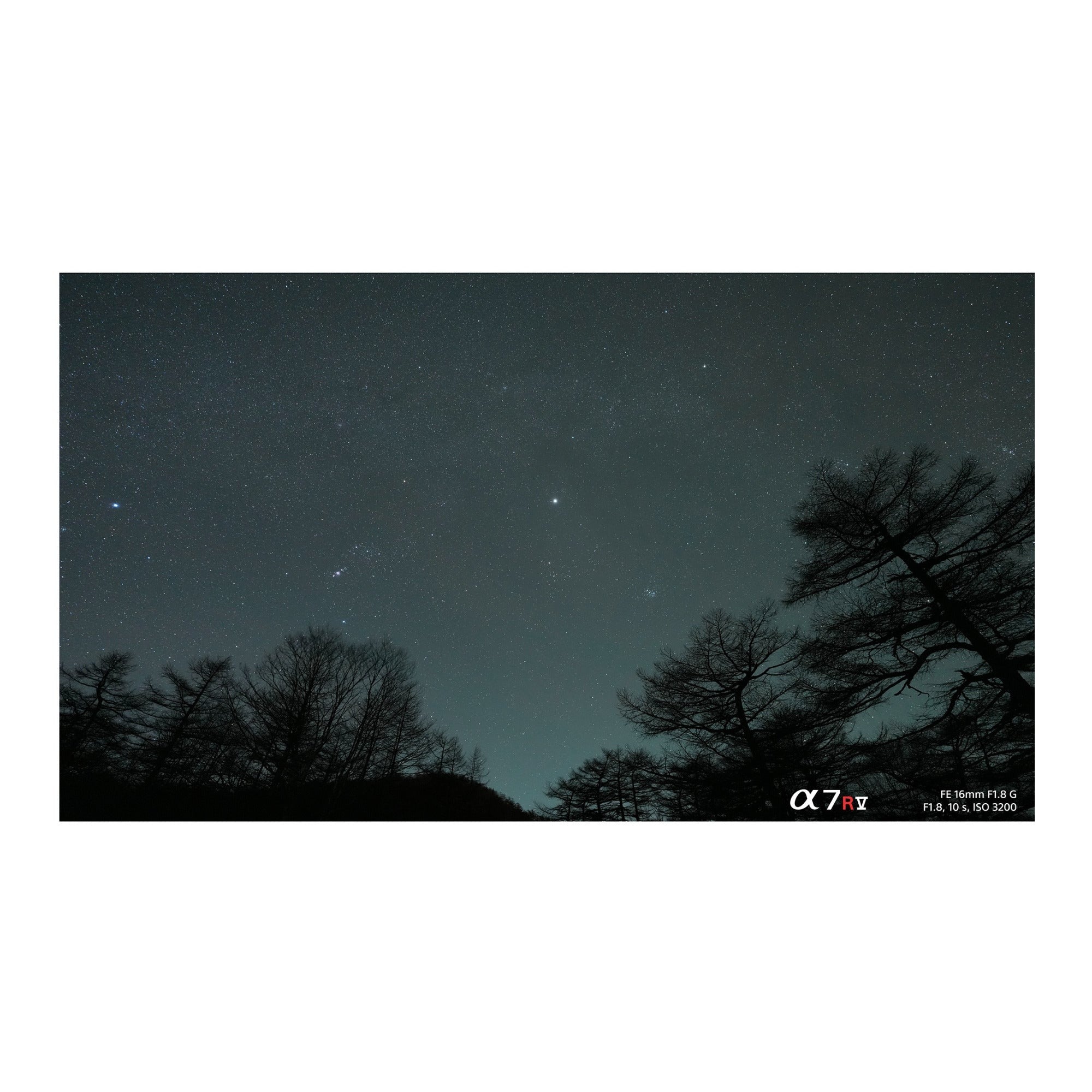 Sony FE 16mm f/1.8 G Lens