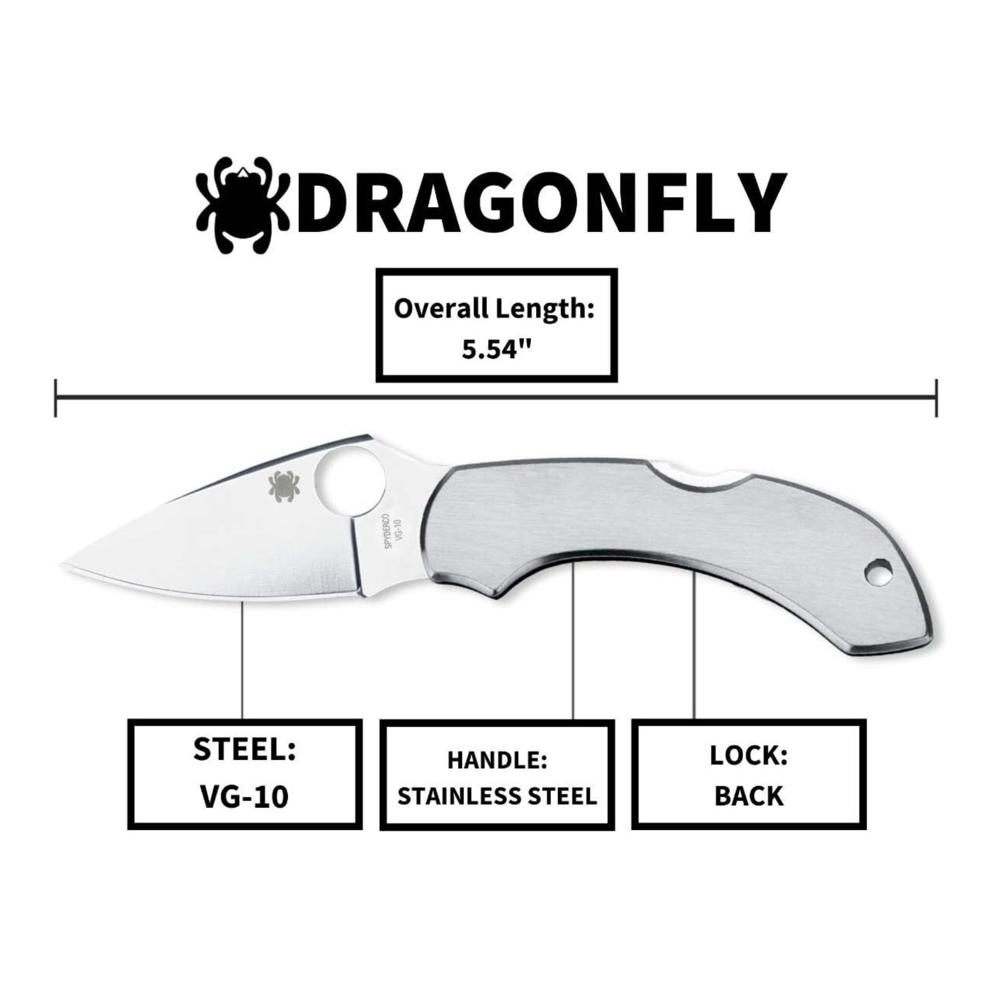 Spyderco Dragonfly Folding Knife - VG-10 PlainEdge Blade, Stainless Steel Handle, Back Lock