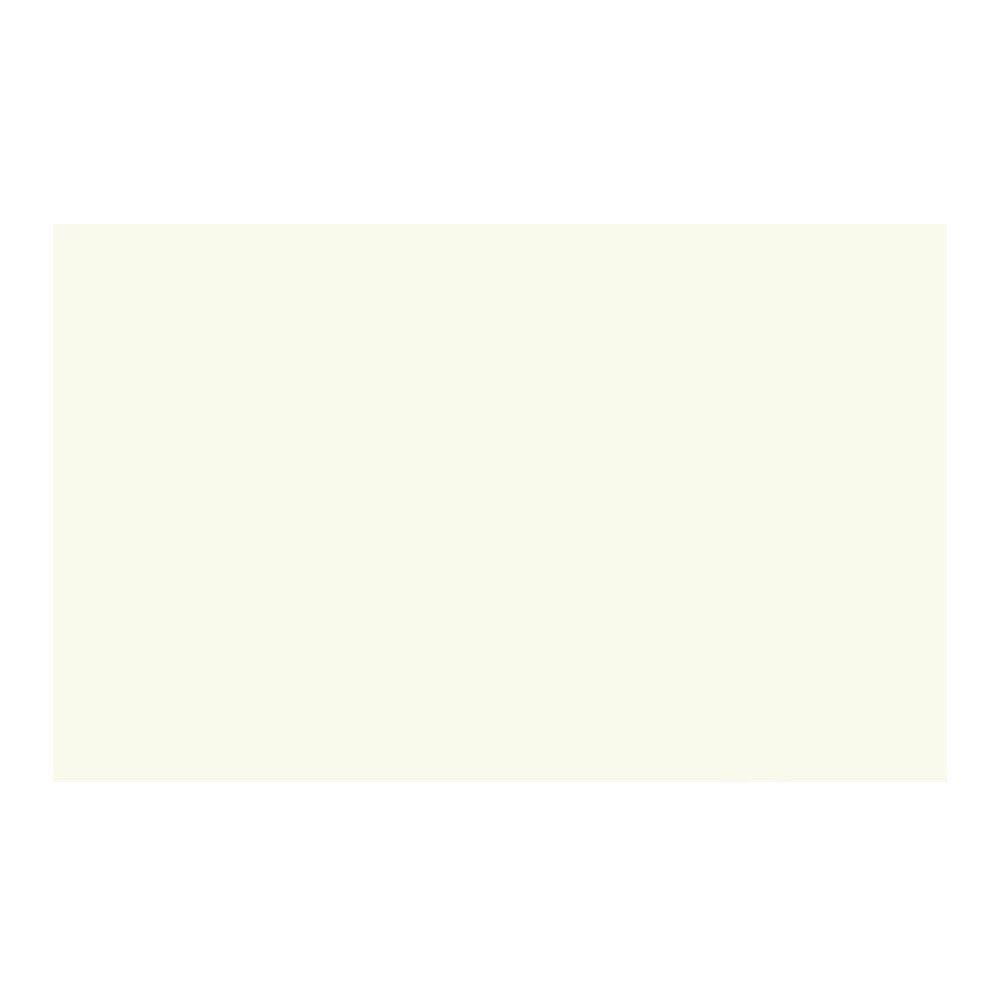 Savage Widetone Seamless Background Paper (#50 White, 107-Inch x 36-Feet)