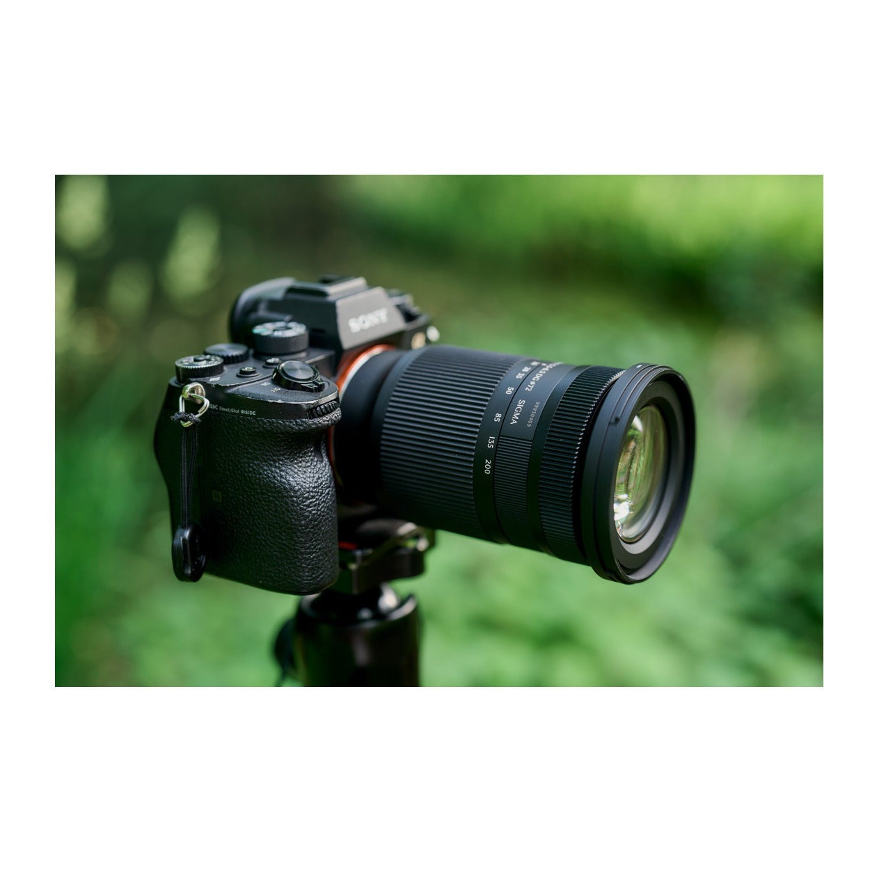 Sigma 20-200mm F3.5-6.3 DG Contemporary Lens (Sony E Mount) (Open Box)