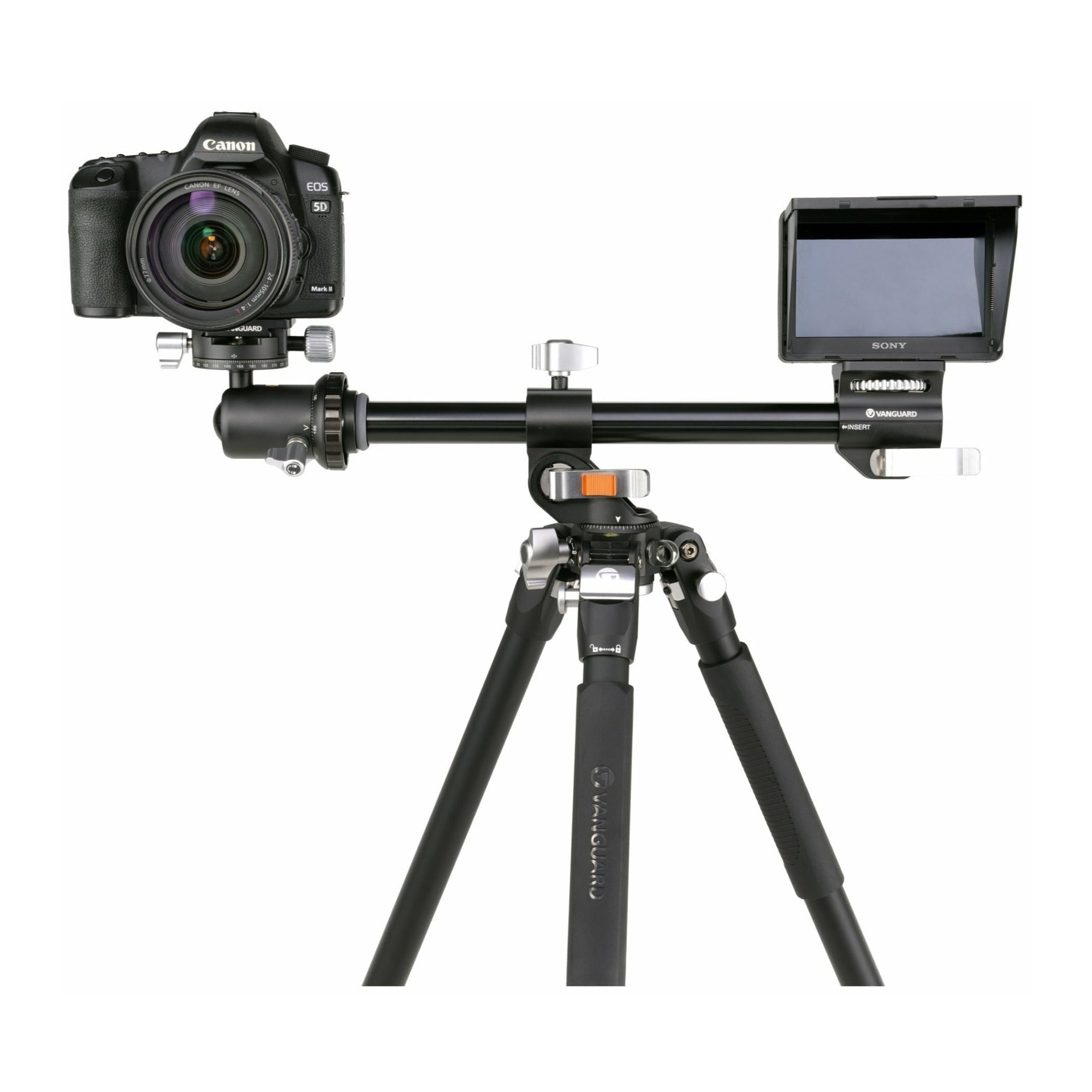 Vanguard Aluminum Tripod with VEO BH-160S Ball Head