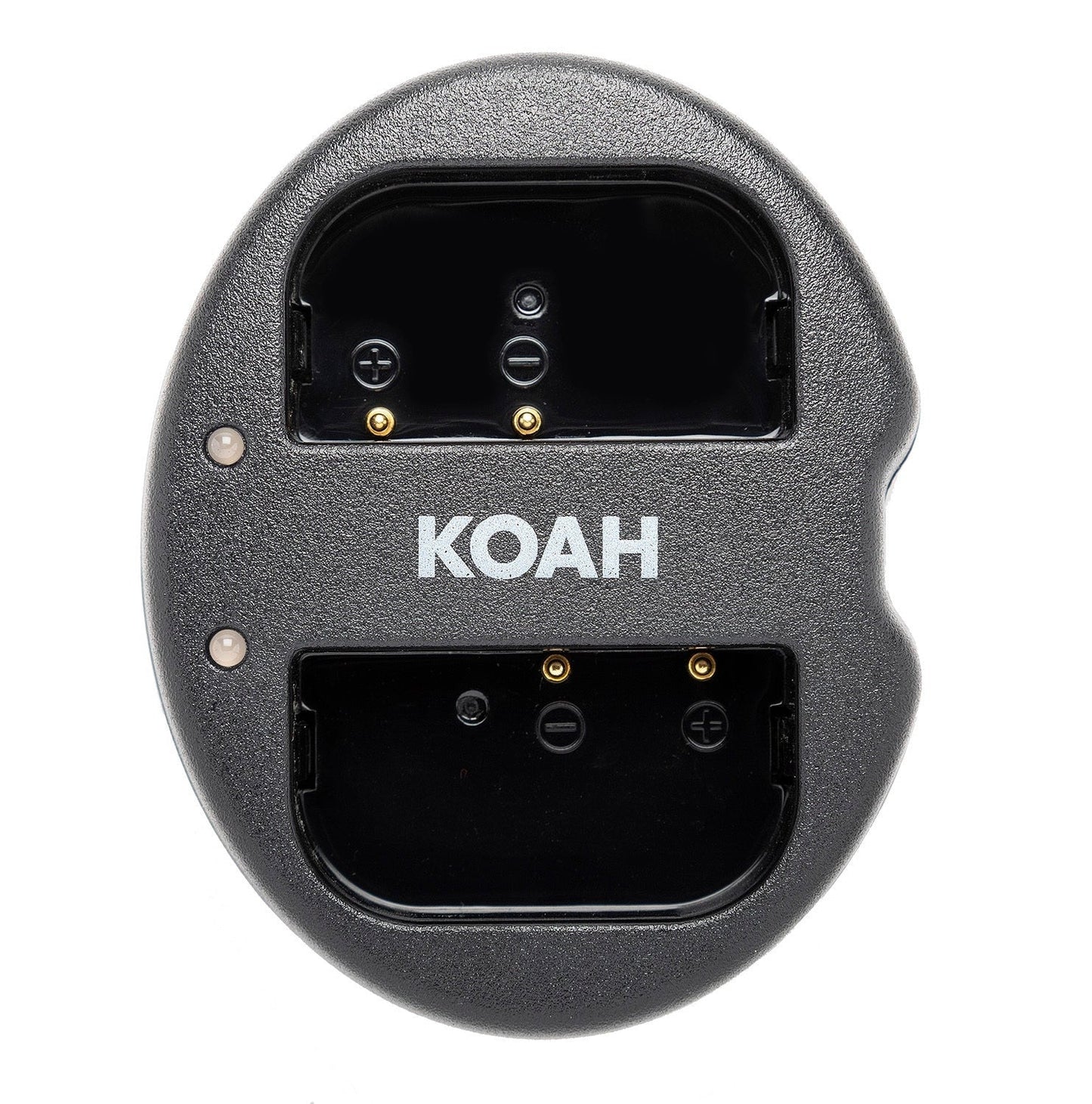 Koah 2000mAh Li-ion Battery for Panasonic DMW-BLF19 (2-pack) with Dual Charger