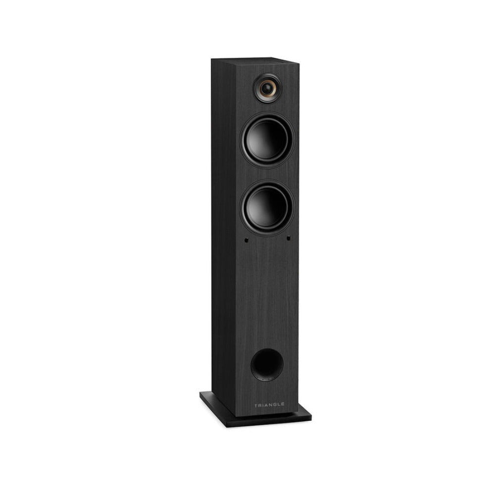 Triangle LN05A Bluetooth Floor Standing Speakers with 2x80W Amp (Black)