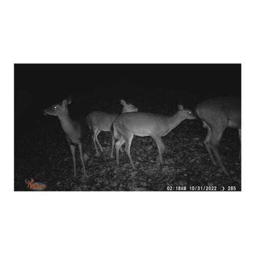 Wildgame Innovations Terra Extreme 14MP IR Trail Infrared Camera for Still Images and Video (Bark)