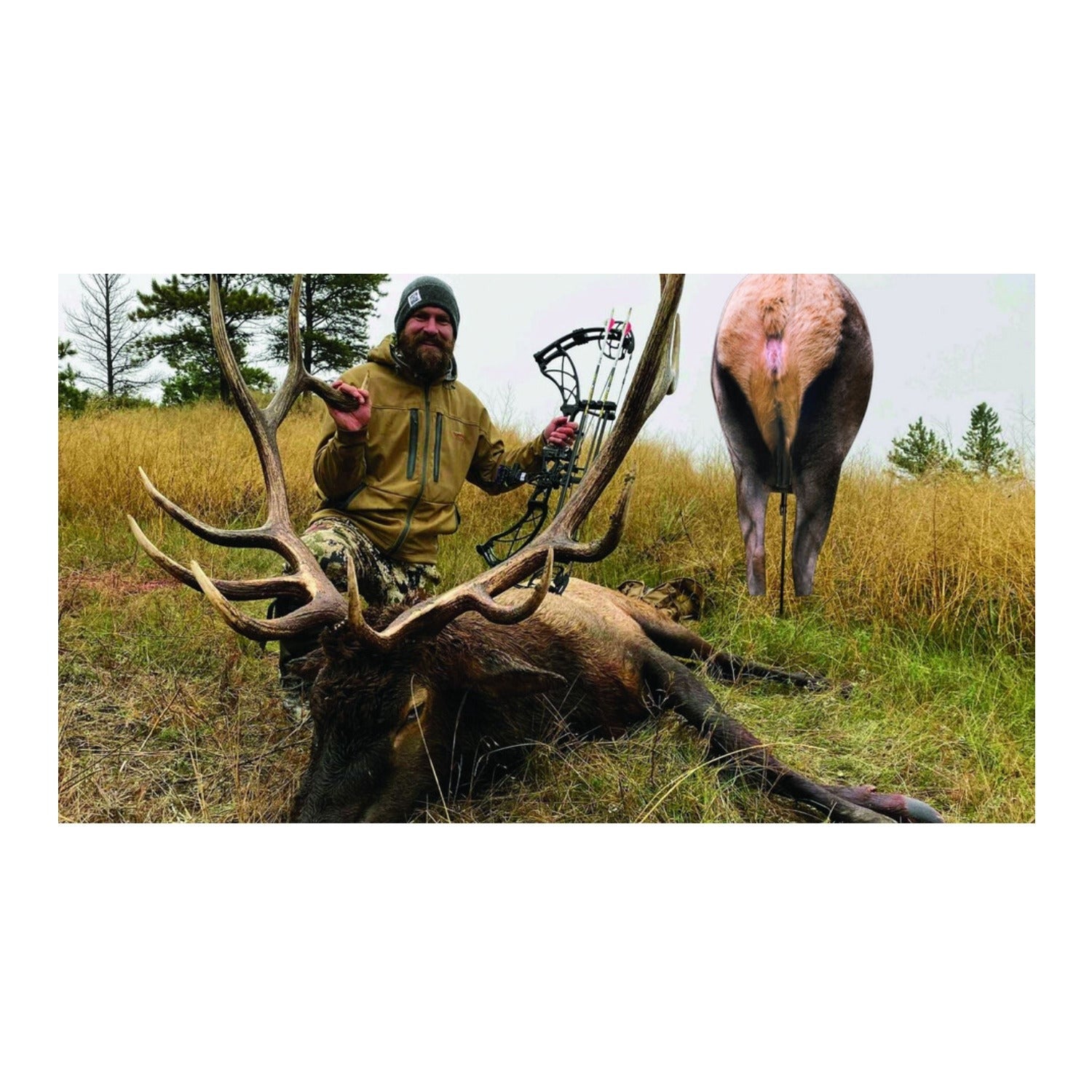 Montana Back Country Elk Decoy - Ultra-Lightweight and Foldable