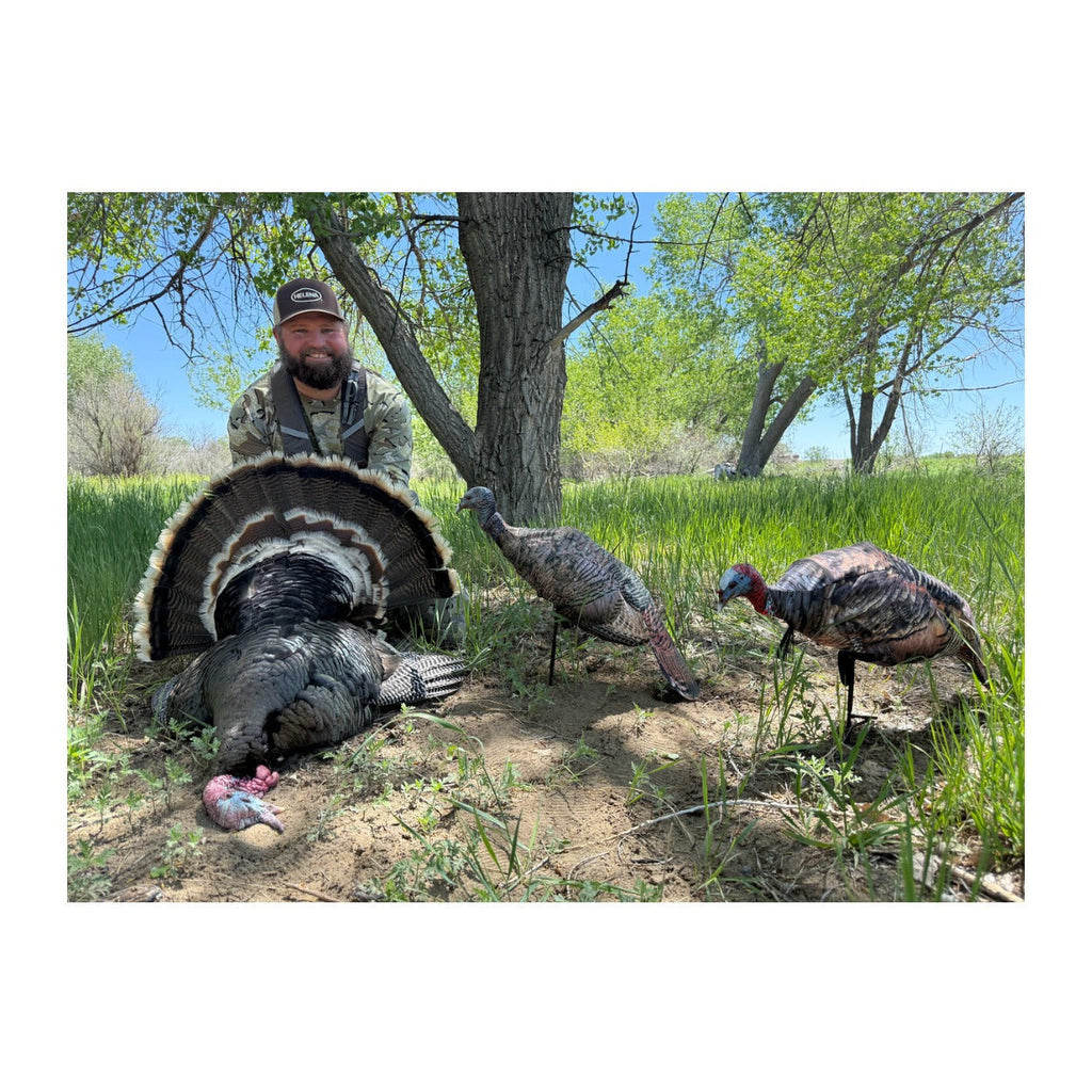 Montana Decoy Miss Purr-Fect XD3 Realistic Turkey Decoy