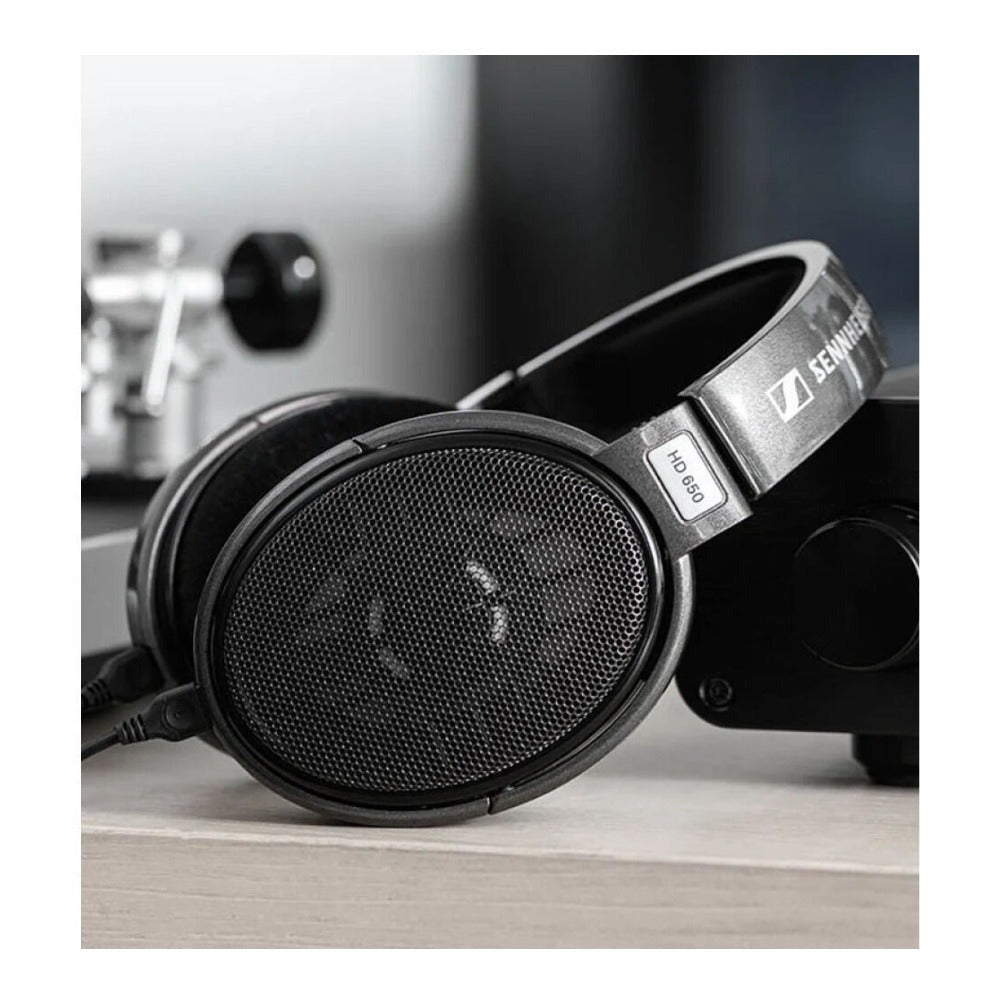 Sennheiser HD 650 Open Back Audiophile Headphones with Detachable Cable