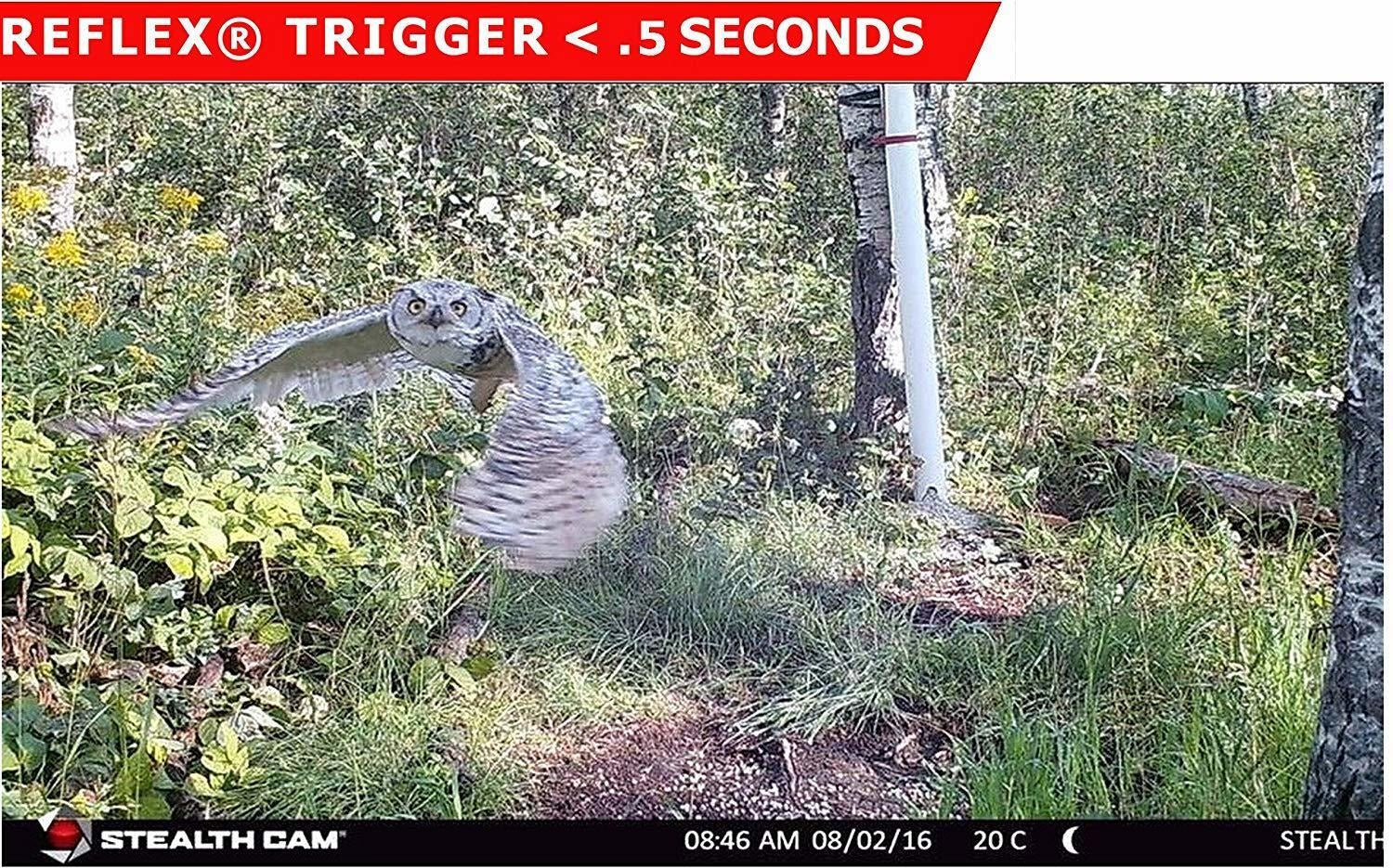 Stealth Cam 2022 G42NG 32MP No Glow Trail Cameras, Kryptek, & Cards Kit (6-Pack)