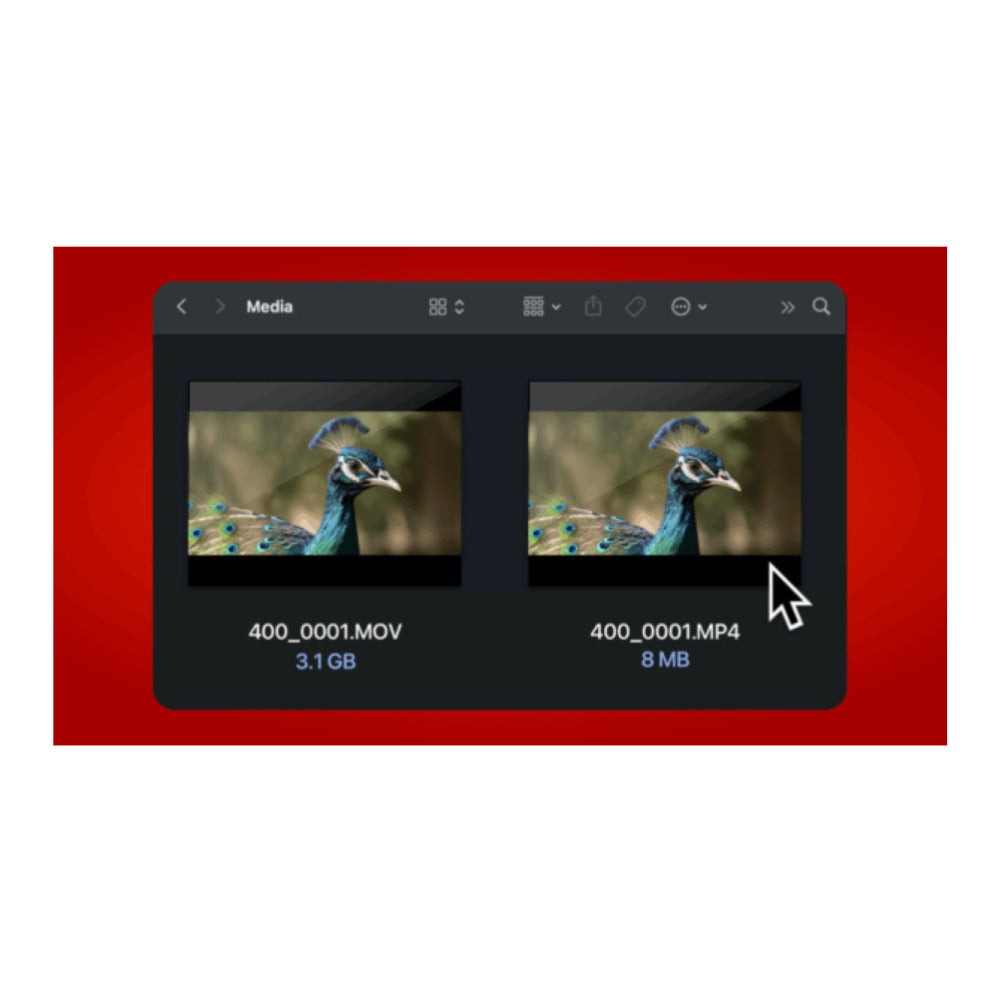 Atomos Ninja RAW 5-Inch 1500-Nit HDR Touchscreen Monitor-Recorder