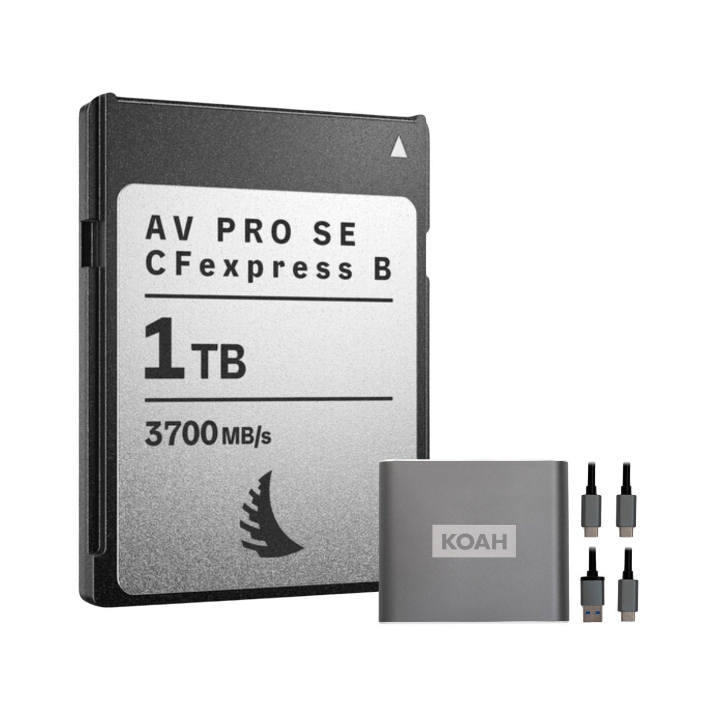 Angelbird AV PRO SE 1TB High-Speed Memory Card Bundle with Reader (2 Items)