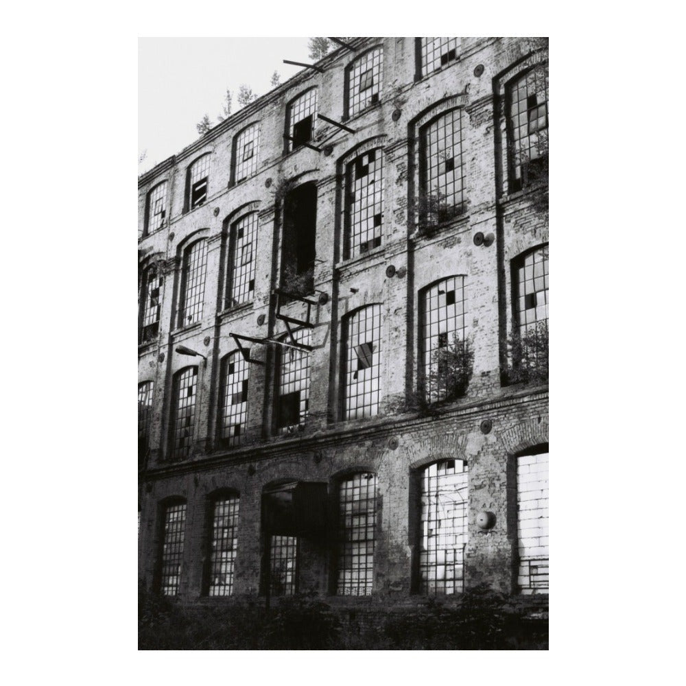 Lomography Lady Grey 400 ASA 35mm Film (3-Pack)