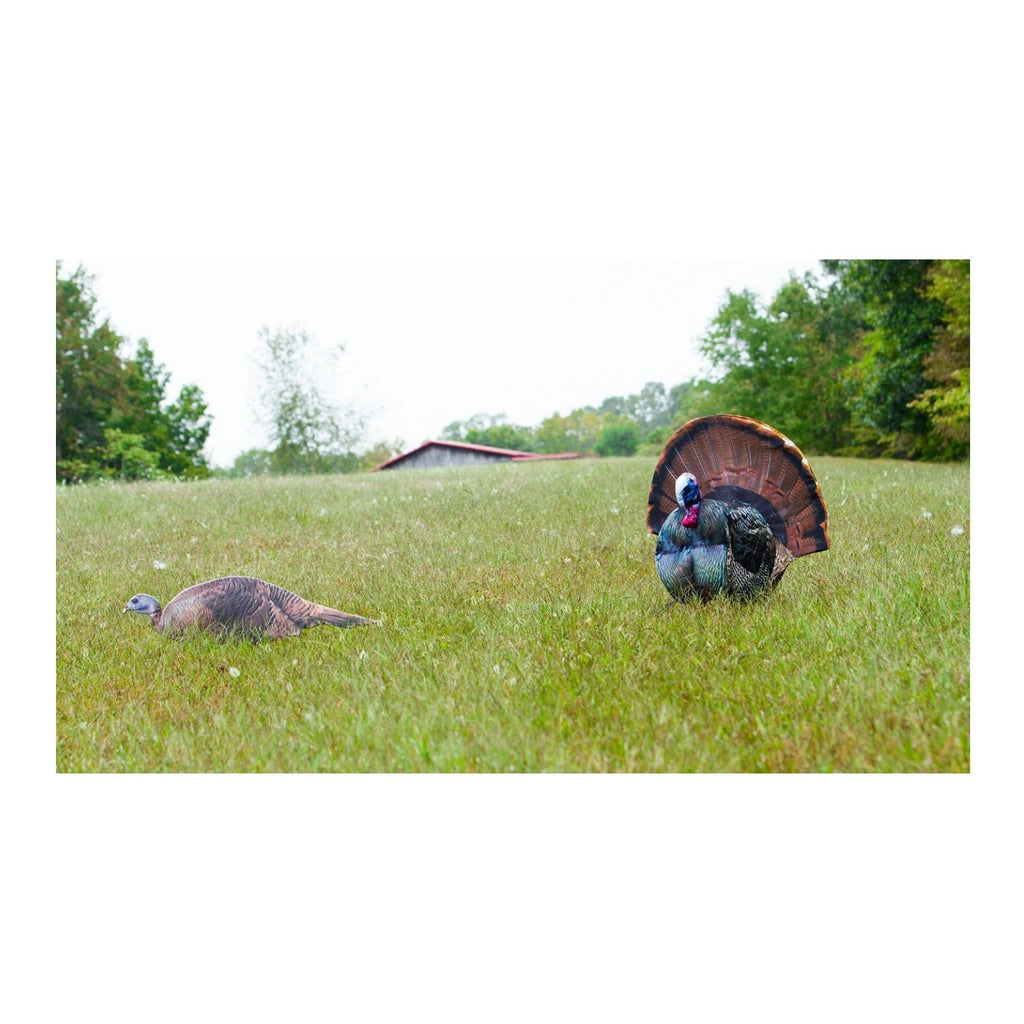 Montana Decoy Spring Fling Turkey Decoy - Foldable and Portable, Photo-Realistic