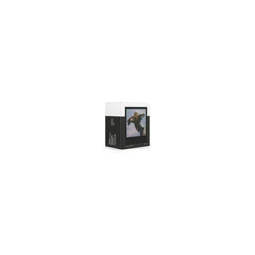 Polaroid Go Color Film Double Pack (Black Frame Edition)