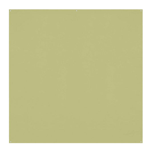 Westcott X-Drop Pro Wrinkle-Resistant Backdrop (Light Moss Green, 8 x 8 Feet)