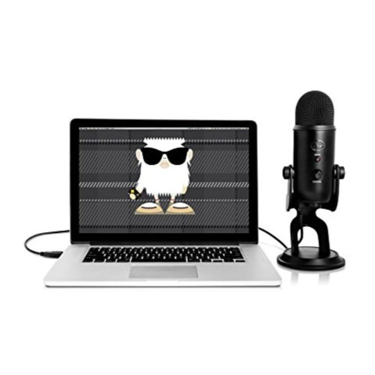 Logitech StreamCam Plus 1080P HD 60fps USB-C Webcam(Graphite) with Blue Yeti Mic