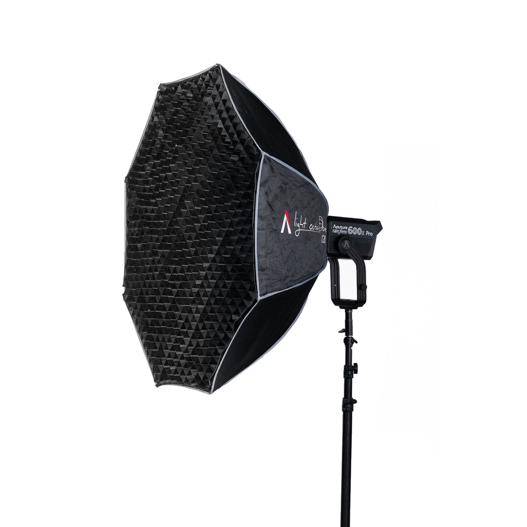Aputure STORM 400x Tunable LED Monolight (Gold Mount) with Octagonal Softbox