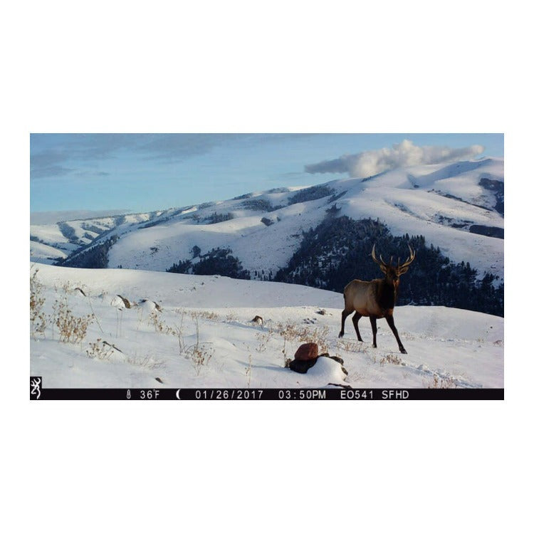 Browning Strike Force Pro X Trail Camera w/SD Card, Security Box Bundle (6-Pack)