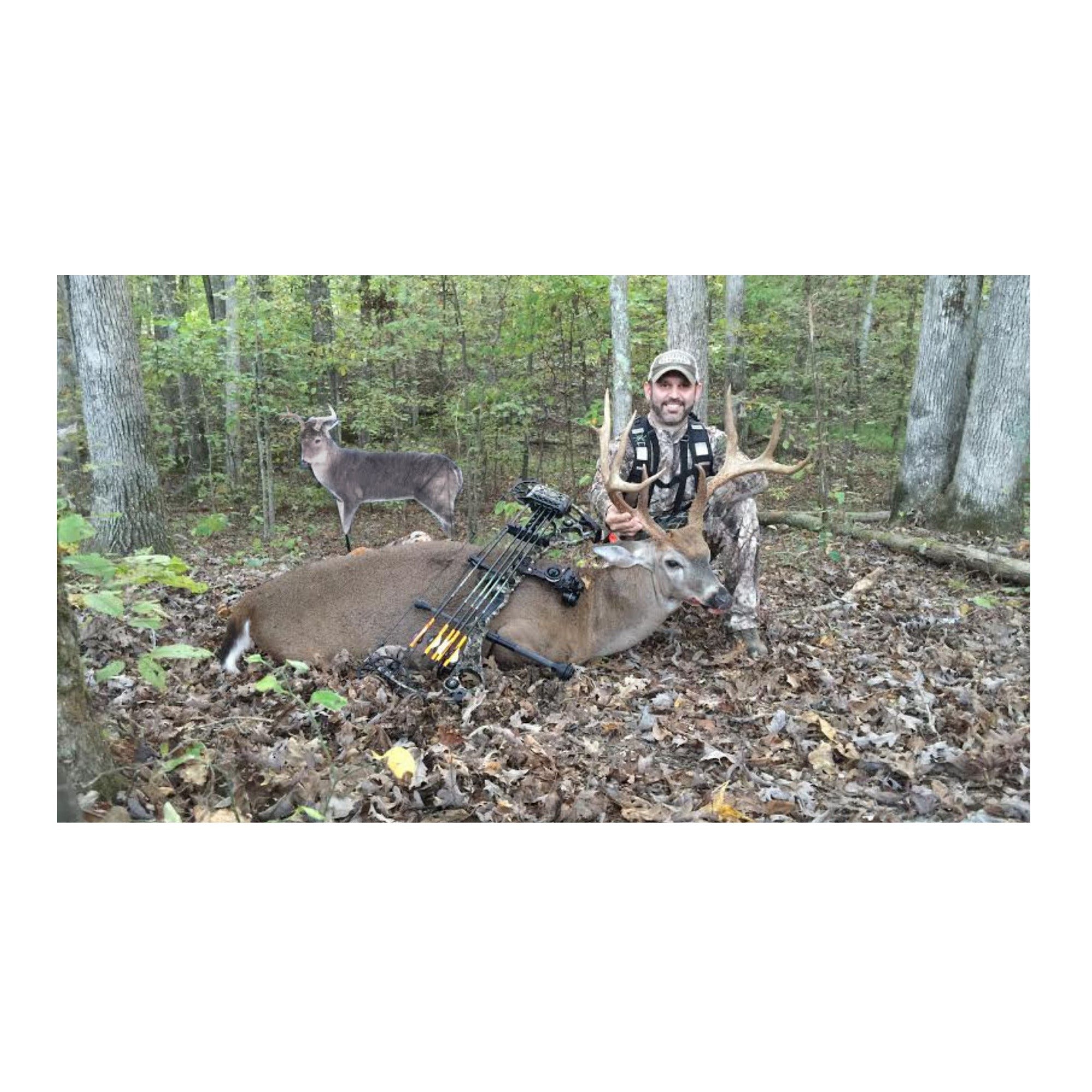 Montana: The Freshman (Whitetail Buck Decoy)