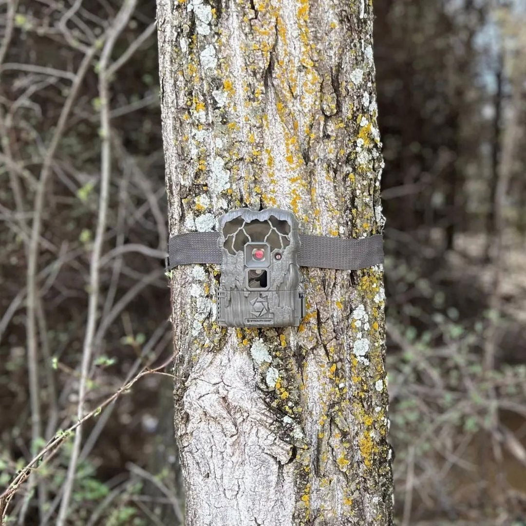 Stealth Cam 20MP Trail Camera with 60 Feet Range Detection and 720P Video Resolution (2-Pack)