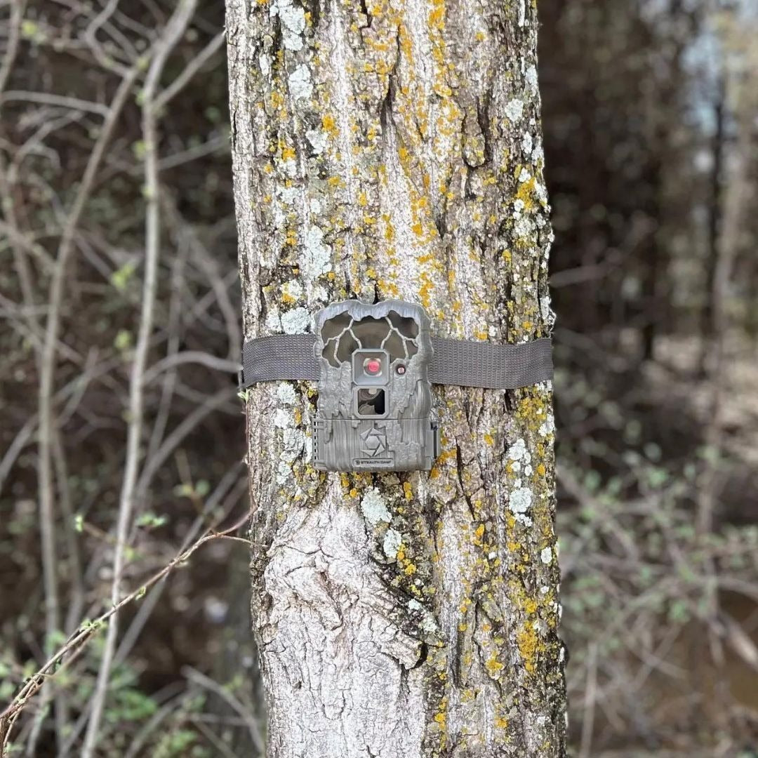 Stealth Cam 20MP Trail Camera with 60 Feet Range Detection and 720P Video Resolution (2-Pack)